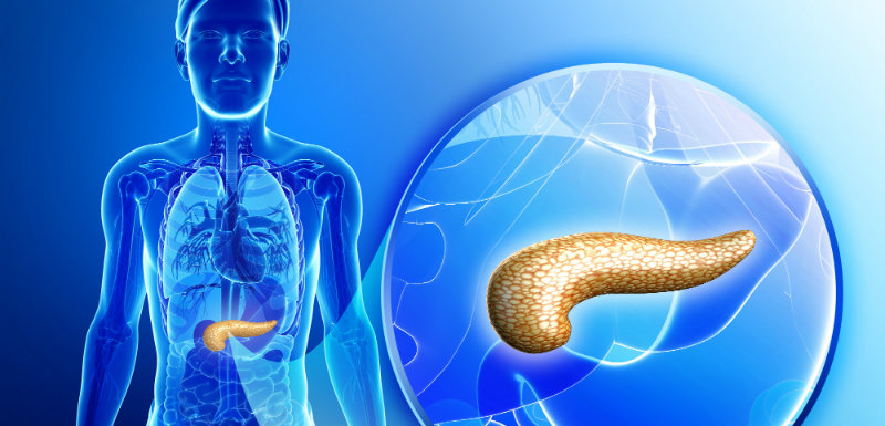 Diabète : un pancréas bio-artificiel prometteur